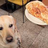 コント