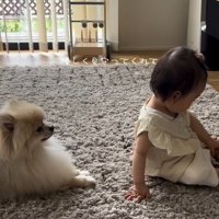 後ろから見守るコタローくん
