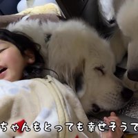 微笑ましい光景にホッコリ