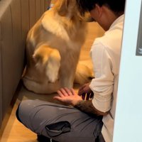 ゆっくり手を上げるムーンちゃん