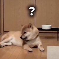 「なんですか？」