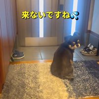 「おばあちゃん、まだかな？」