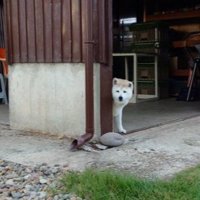 休憩所