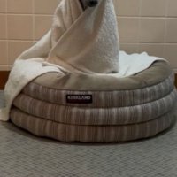 脱衣所で待機中のプットくん