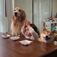 お行儀がいい3兄妹♡