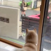 3週間