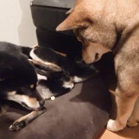 圧をかけ続けたら…