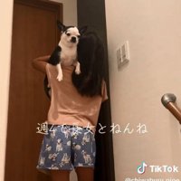 寝室へ行くピペちゃん
