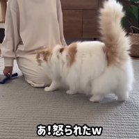怒られたポテチくん2