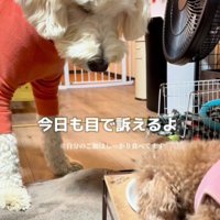 自分の分を食べ終えたら…