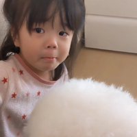 ぷぷちゃんが動かない…