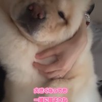小梅ちゃんの成長6