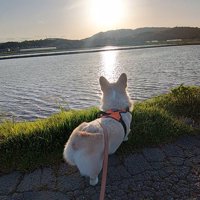 もちもち