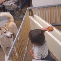 現在の光景にホッコリ