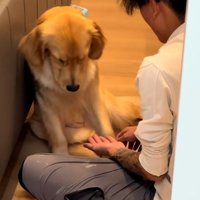 やる気のないムーンちゃん
