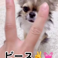 ピースするママ