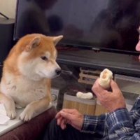 「ちょうだい」