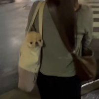まんまるでかわいい