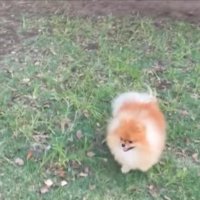 しょんぼり