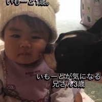赤ちゃんの頬を舐める犬