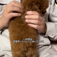 ベベさんと遊ぶお父さん