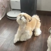見上げる