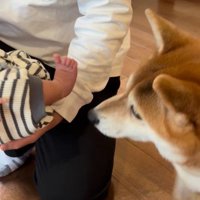 いとちゃんの成長記録9