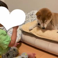 男の子の布団です！！