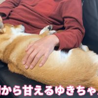 さっそく甘えん坊モード