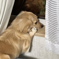 モデル