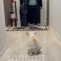 近くに行きたい…