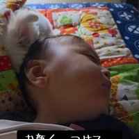 寄り添って眠る小型犬と赤ちゃん