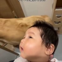 抱っこされる赤ちゃん