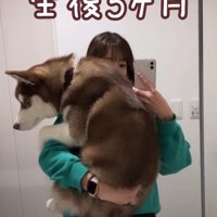 るい君の成長記録5