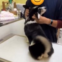挨拶