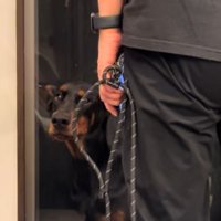 お散歩へ行きたくなると…