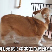 お姉ちゃんをお見送り
