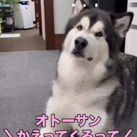 話を聞くシンバくん