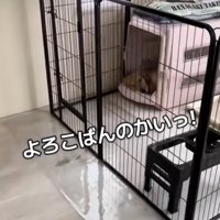 ママ帰ってきたよ！！