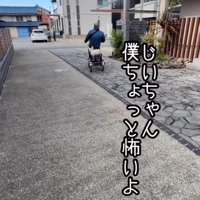 年配男性が漕ぐ電動式三輪車のカゴに乗る犬