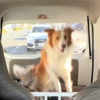 慣性の法則で遊ぶことも