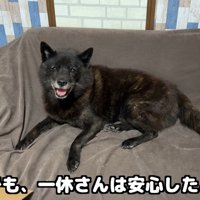 2人の元気な姿を見て一安心♪