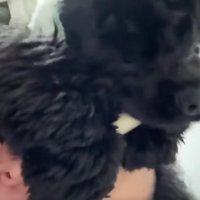 顔が見えないパパ