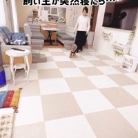 リビングに入ってくる飼い主と茶色い犬