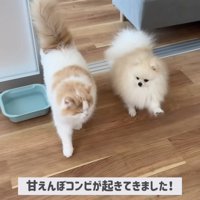 仲良く一緒に起床♪