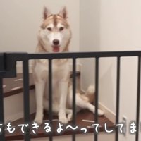 いつかにこちゃんにもできるね！