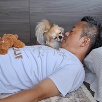 CoCoちゃんの愛情表現2