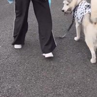 自慢げな顔にホッコリ♡