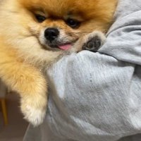 抱っこしてもらえて満足げなお顔