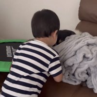 犬の顔をじっと見つめる子ども